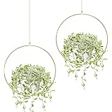 Mkouo Boho Hangende Pflanzen, 2er Set Runder Metallpflanzenhalter mit Kunststoff Blumentopf, Moderner Wand- und Deckenpflanze