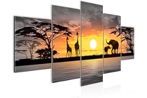 Runa Art - Cuadros Decorativos África Puesta De Sol 200 x 100 cm 5 Piezas XXL Decoracion de Pared Diseño Naranja 000251c