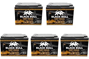 FORÇA Blackbull Akkuset 60V 45AH Akku Batterie für Kabinenfahrzeuge Elektrofahrzeuge ECONELO AKTIVIMO ECABINO