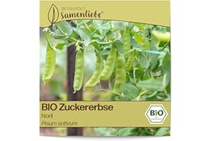 Samenliebe BIO Zuckererbsen Samen alte Sorte Norli sehr süße Topf-Zuckerschote frühe Erbse grün 20 Samen samenfestes Gemüse Saatgut für Gewächshaus Freiland und Balkon BIO Gemüsesamen