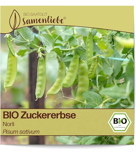 Sweet Horizon Zuckererbse Samen – Für Ca. 60 Pflanzen, Resistent, Süß & Fadenlos