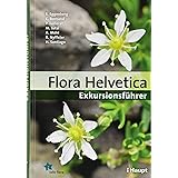 Flora Helvetica - Exkursionsführer