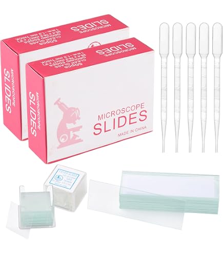 Boîte De Rangement Pour Lames De Microscope 25 Emplacements - 2 Pièces (beige & Vert Printemps) - 94x91x32 Mm