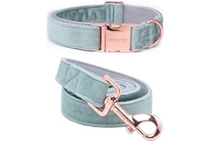 ARING PET Hundehalsband und Leine Set, Samt Hundehalsband und Leine, Verstellbares Halsband für Kleine Hunde Mittlere Hunde Große Hunde