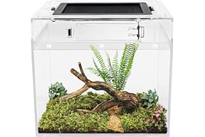 Reptile Growth Mini reptile tank（PC）,8" x 8"x 7" vivarium with Top Sliding Door Screen Ventilation for Small Fish,Insect,Snail,Gecko，Tarantula,Bearded Dragon,Jumping Spider,Stick Insect