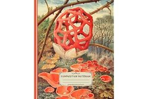 Composition Notebook: Wonderful Vintage Lattice Fungus and Orange Elf-Cup Illustration, Strange Mushroom. Wide Ruled. Workbook for Students, Teachers, and Writers. for Botanical Lovers. (Weird Plant)