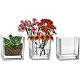 PARNOO Set of 3 Glass Square Vases 5 x 5 Inch â€“ Clear Cube Shape Flower Vase Candle Holders - Perfect as a Wedding Centerpieces Home Decoration