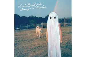 Stranger in the Alps