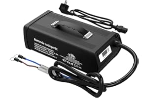 ‎LITIME LiTime Ładowarka do akumulatorów litowych 14,6 V 40 A, specjalnie do baterii 12 V LiFePO4, z instrukcją obsługi wyświetlacza i wyświetlaczem LED, AC-DC Smart ładowarka do akumulatorów litowych 12,8 V