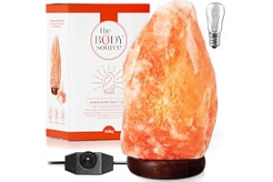‎THE BODY SOURCE The Body Source Himalaya Salzlampe (2-3 kg) mit Dimmerschalterlicht aus der Salt Range Pakistan auf einem Holzständer - Nachtlicht inkl. 1x 10W Glühbirnen und Geschenkbox
