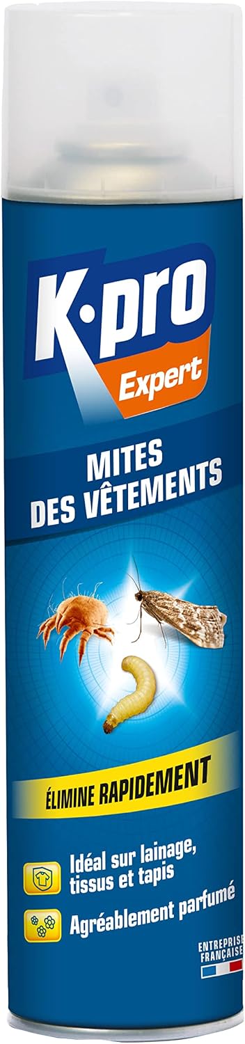 Vue 12
