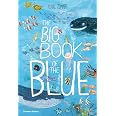 The Big Book Of The Blue Amazon fr Zommer Yuval Livres