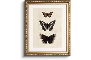 HUARCEY Leinwand Bilder mit Gold Rahmen, Vintage Wandbilder, Klassisch Wand Deko Wohnzimmer Schlafzimmer Badezimmer Küche, Bauernhaus Zimmer Deko Aesthetic, Schmetterling Painting, 33x40cm, klein