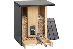 Netvue by Birdfy Mangiatoia per Uccelli con Videocamera AI e Solare, Telecamera per il Birdwatching con Bambù Ecologico e Rinnovabile, Cattura Automatica, Notifica Uccelli
