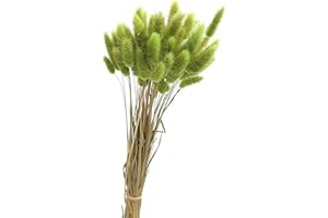 Yeehliny Pflanzenstiele, ländlicher Stil, Hasenschwanz Trockenblumen Deko ewig haltbar Pampasgras & getrocknete Blumen Pampasgras Trockenblumenstrauß Vase Deko,50 Stück (Grün)