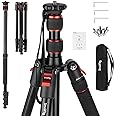 SMALLRIG 68" Portable Travel Tripod, T-10 Compact Aluminum Camera Tripod, Lightweight Tripod, 19.7"-67.7" Adjustable Height Tripod for Camera & Phone, Payload 33lb / 15 kg - 3983