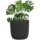 Pflanzwerk&reg; Fibreglass Planter Cup &Oslash;27cm Anthracite *Frost-proof Pot* * * UV Protection* * * European Quality*