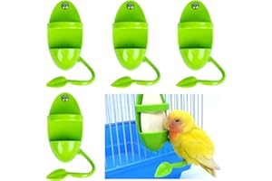 YOUNGSAY 4 Pezzi Supporto per Osso di Seppia, Porta Osso di Seppia con Supporto in Piedi, Portatile Porta Osso di Seppia per Pappagalli, Per Servire Frutta e Verdura (Verde)