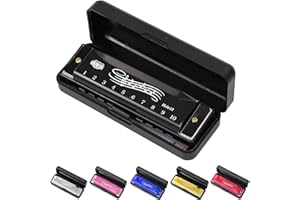 SUNBILIEN 10 hole harmonica, silver full scale metal mini C-key harmonica, suitable for adults, Thanksgiving and Christmas back to school gifts (Black)