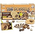 Dr.Daz Fossil Digging Kit for Kids, Science Kits for kids age 6, Dig It Up Fossil Discovery Kit, Educational Toys, Kids Activities, Archeology Sets for Kids, Birthday Gifts