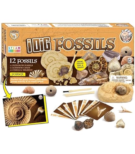 Kit Scavo Fossile Ambra Con Insetti Artificiali Per Bambini 6-12 Anni | Gioco Scientifico Con Strumenti E Lente Di Ingrandimento