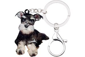 DOWAY Colgante de perro de mascota Schnauzer Keychanin estándar de acrílico para bolso de mano coche Ker anillo