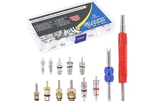GLARKS 102Pcs Car Air Conditioner Valve Core Schrader Valve Cores Accessories A/C R12 R134a Refrigeration Tire Valve Stem with Double Head Dual Dismantling Remover Installer Tool Assortment Kit