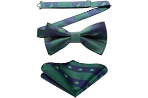 HISDERN Papillon da annodare Papillon a farfalla cravatta Paisley motivo a righe motivo a pois Papillon per uomo Accessori uomo