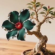 Wüstenrose Knolle Winterhart - Seltene Mehrjährige Pflanze Für Den Garten