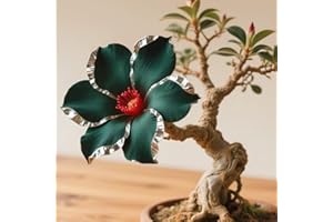 IIEDGE Schnelles Wachstum Seltene Wüstenrose Seltene Wüstenrose Winterhart WüStenrosenknolle Winterhart Schönes Bepflanzen von Staudengärten-1knolle-a