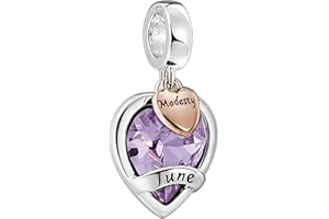 AMATOLOVE Jan-Dec Birthstone Charms for Bracelets Happy Birthday Bead Charm Gifts for Women Girls,Brilliant Round Heart Shape CZ for Choice