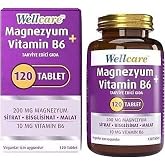 Wellcare Magnesium Vitamin B6 120 Table