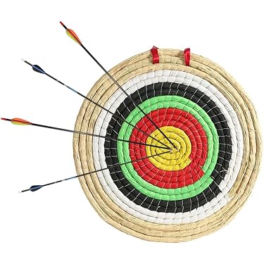 9,5'' Mini Ensemble De Flèches Arc Composées 12 Lb Tir à L'arc Cible
