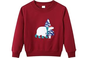 Dinopjs Jungen Pullover, Boys' Warm Sweatshirts, Klassischer Cartoon Tiere, Traktor, Dino, Fliegender Drache Ritter, Regenbogen, Eisbär Weihnachtsbaum, Baumwolle Sportshirts für Kinder 2-9 Jahre