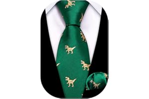 Barry.Wang Ragazzi Cravatta di seta per ragazzi Set quadrato con taschino, motivo scozzese Paisley per feste di busines