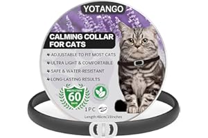 YOTANGO Collares Calmantes para Gatos, Collar Calmante para Gatos Ajustable, Impermeable Collar Feromonas para Gatos 60 Días de Duración, Feromonas Anti-Ansiedad Collar para Gatos de Gatitos e Grandes Negro