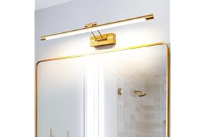 MantoLite Dimmerabile Lampade da Parete per Interni, Specchio da Bagno LED Applique da Parete con Testa Della Lampada Girevole per Camera da letto, 3000K Hotel Restaurant Lampada(1320LM Ottone,60CM)