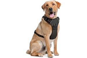 Dog Harness for Large Dogs - Large, Black - Soft-Padded & Adjustable No-Pull Design Pet Harness for Running & Hiking - by EcoEarth
