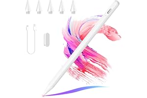CC Store Penna per Apple iPad(2018-2025), Stylus Pen Ricarica Rapida & Sensibile all'Inclinazione & Rifiuto del Palmo, Compatibile iPad A16 11/10/9/8/7/6, Air M3/M2/5/4/3, Mini 7/6/5, Pro 12.9/11/13