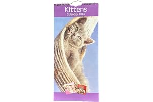 SHINEONE 2026 Slim Wall Calendar Planner Spiral, Scenic, Postal, Envelope,Sleek and Compact Calender Gift .Wider Range of designs (30 x14cm) (Kittens)
