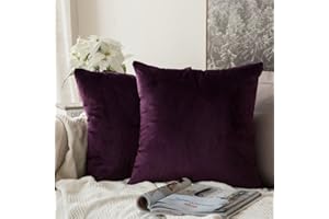 MIULEE Zestaw 2 aksamitnych poszewek na poduszkę ozdobną bez wypełnienia poszewka na poduszkę dekoracyjna poduszka poszewka na poduszkę z ukrytym zamkiem błyskawicznym oberżyna, lila, 50 x 50 cm