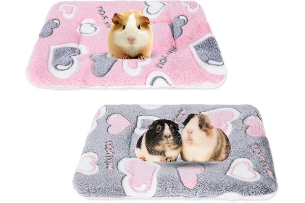 Gukasxi Lot de 2 lits en peluche pour petits animaux - Lit d'hiver chaud et moelleux pour cochons d'Inde, hamsters, chatons