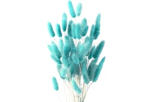 JKDHJK 50 Sticks Pampas Grass Dried Flowers No Odor Never Wither Dried Flowers Bouquet Boho Decor Extra Fluffy Decorative Home Accessories (Light Blue)