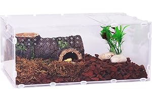 DERNORD Enclos pour reptiles sauteurs d'araignées – Boîte en acrylique 20 x 15 x 35 cm Mini terrarium pour araignées sautantes, bâtons d'insectes, mantes priantes