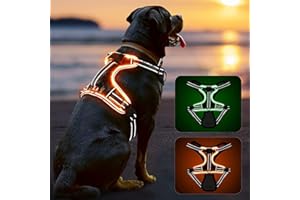 DQGHQME Harnais pour Chien Harnais Lumineux réglable pour Chiens de Petite, Moyenne et Grande Taille,Harnais Lumineux Anti-Traction pour Chiens,Harnais de Poitrine Lumineux LED réfléchissant rembourré