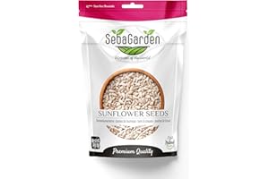 ‎SEBA GARDEN Seba Garden Sonnenblumenkerne, geschält, 1 kg, Güteklasse A, roh, ungesalzen, glutenfrei, Keto-freundlich, Proteinquelle, hoher Fasergehalt, Eisenquelle, nicht gentechnisch verändert