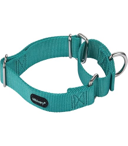 Dazzber Martingal Halsband – Verstellbar, Weich, Für Große/kleine Hunde (Grau)