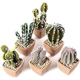 T4U Künstliche Kakteen Dekokaktus Mini Kunstpflenzen im Topf 6er-Set für Heim Büro Bad Deko