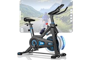 DMASUN Bicicleta Estática en Casa con Resistencia Ajustable, Bicicleta Spinning Silenciosa con APP, Monitor LCD, Cómodo Cojín de Asiento, Capacidad de 160 kg(Funda Sillin Bicicleta Estatica Incluida)