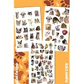 Minnymy Cat Collection Sticker Seti, Ajanda ve G&uuml;nl&uuml;k i&ccedil;in, Kendinden Yapışkanlı, Dekoratif, 10x20 cm, 3'l&uuml; Set, Planlayıcı v